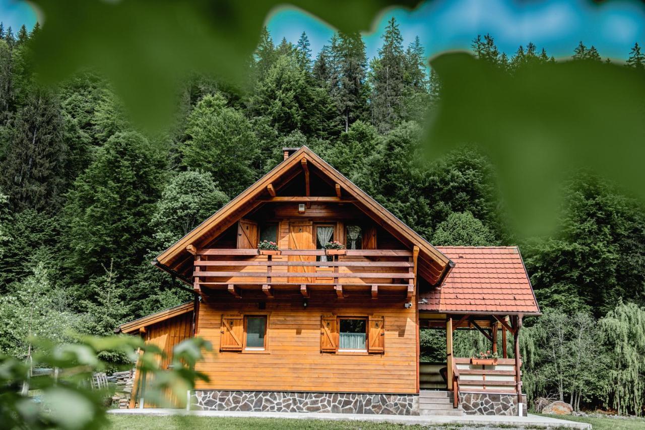 Central Chalet Varsag Dış mekan fotoğraf